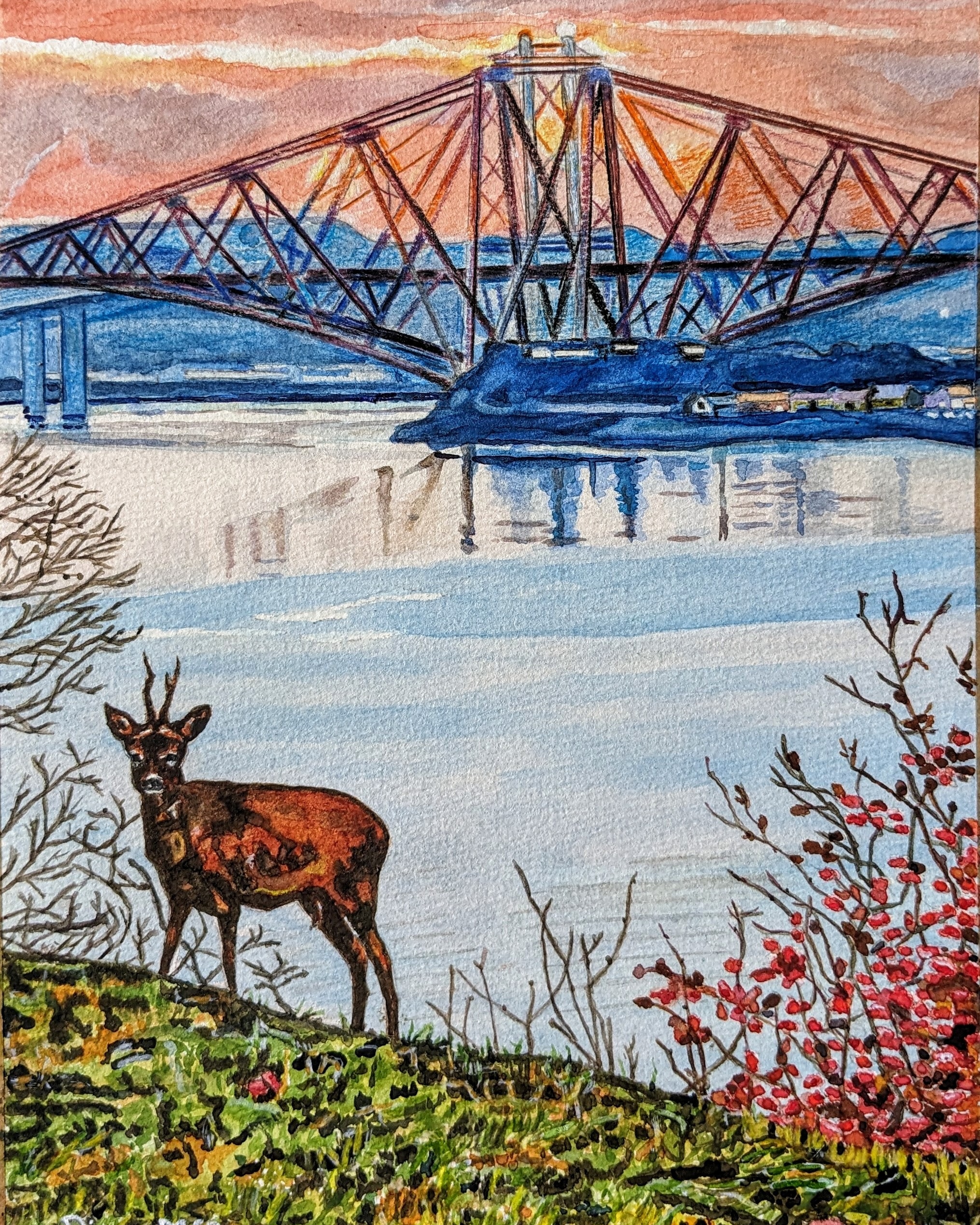 View from Kitchen Window